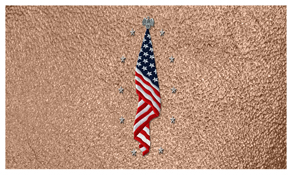 DNSEMP-C-421-SH-BZ Flag at Rest Shimmer Bronze